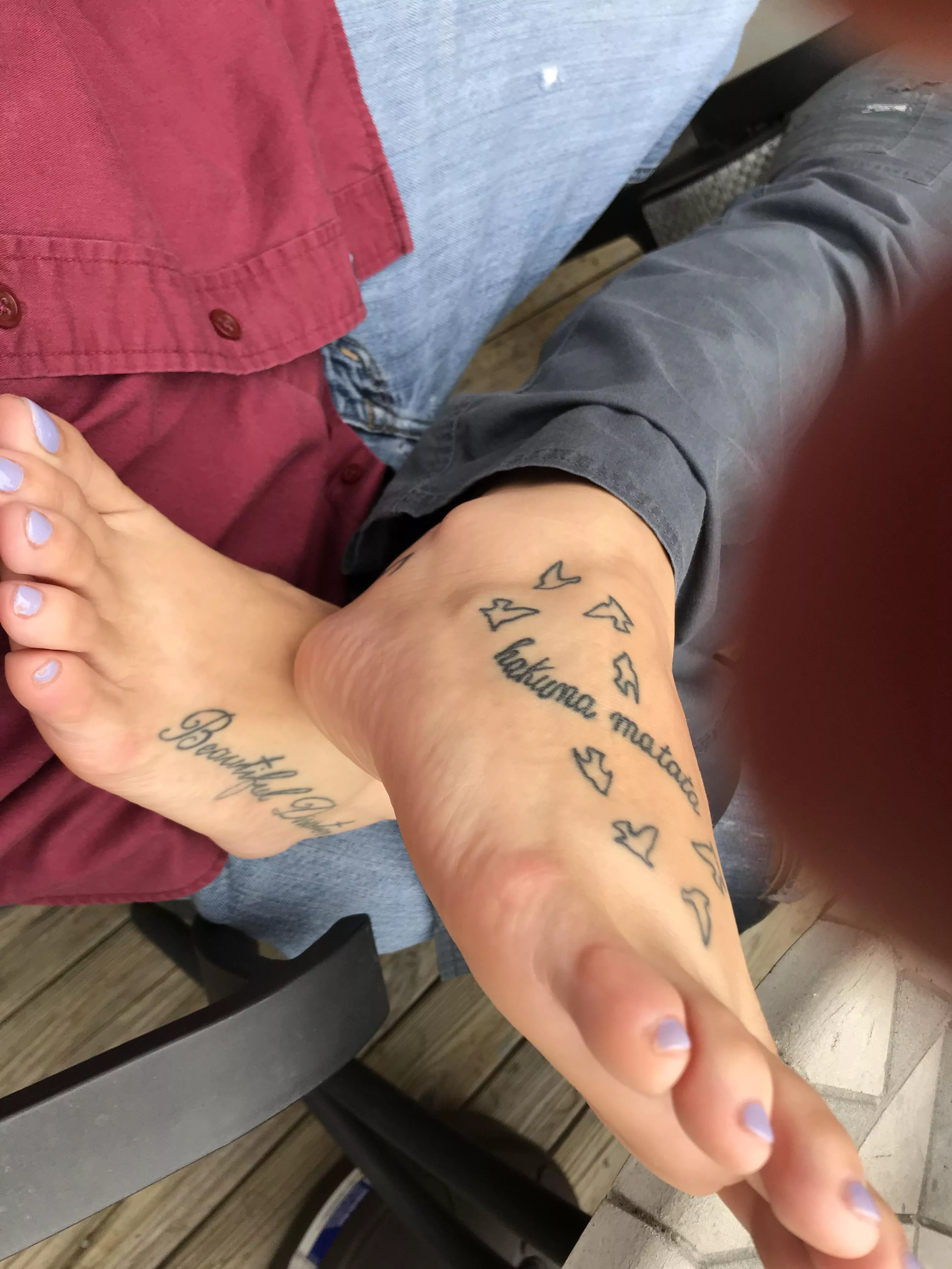 You know you want to touch them? posted by bubtheman1