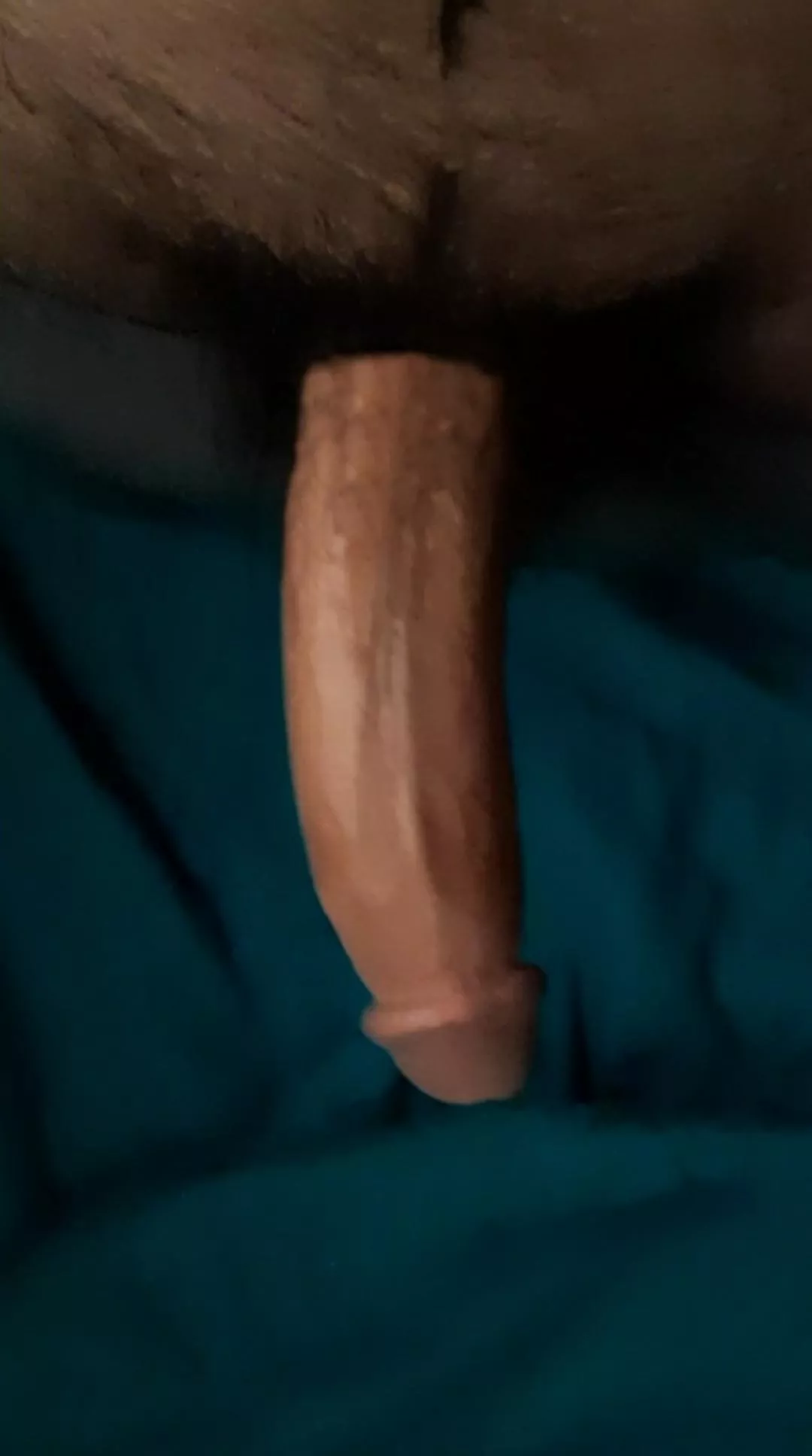 You know you've been thinking about it posted by decaying_flesh1