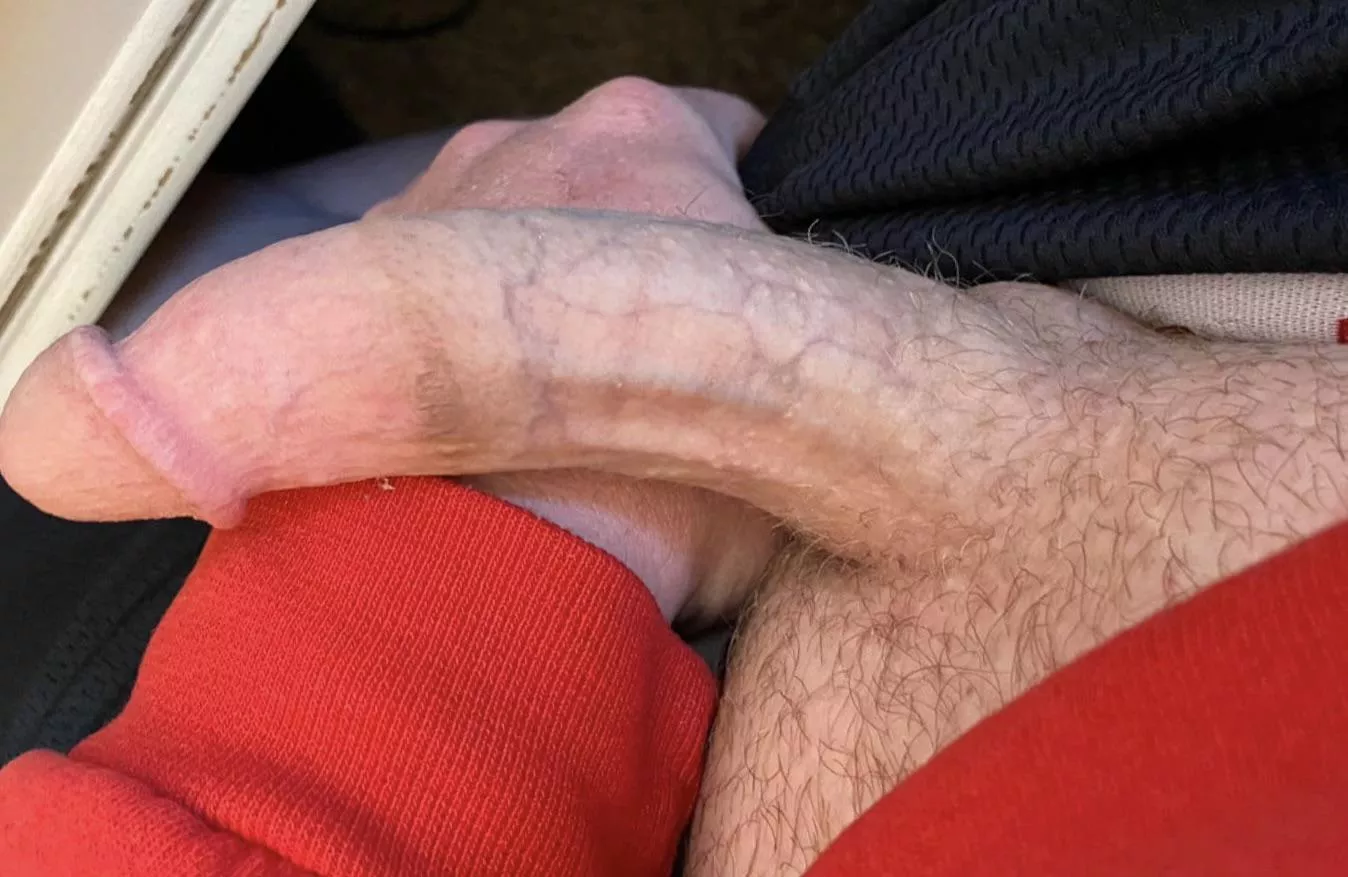 You like? posted by Responsible-Royal734