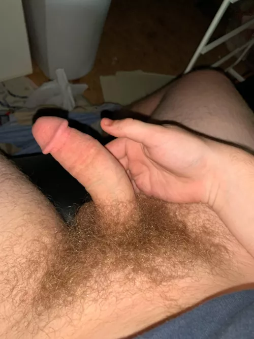 You like it, eh? by FastTurnip6811