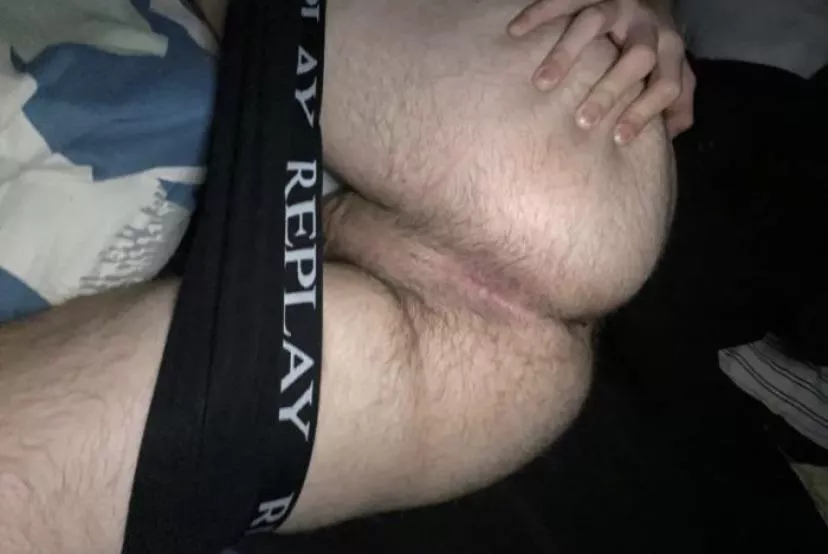 You like it hairy ? posted by TopPicture_