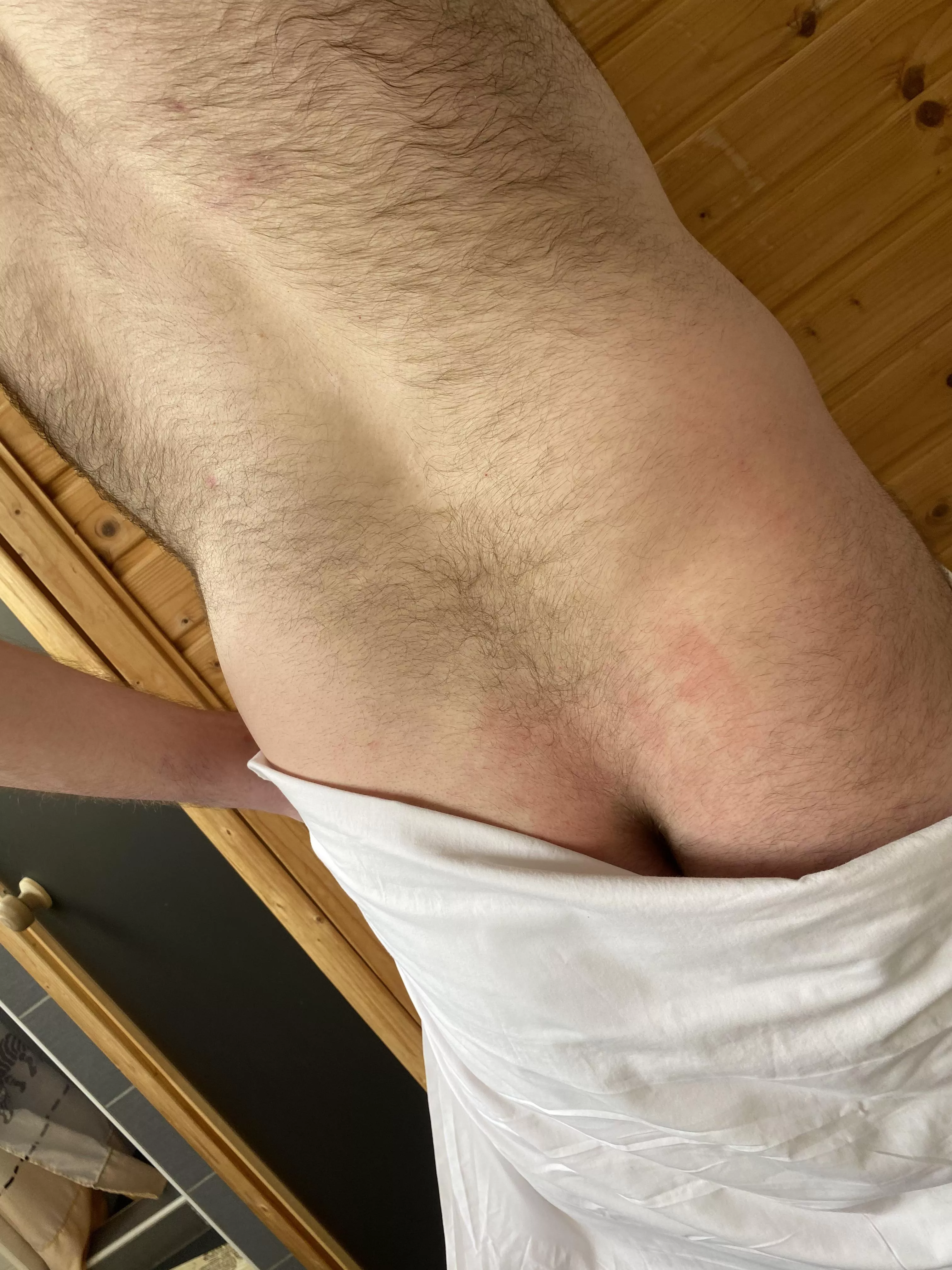 You like my back? posted by Hairy_Maxx