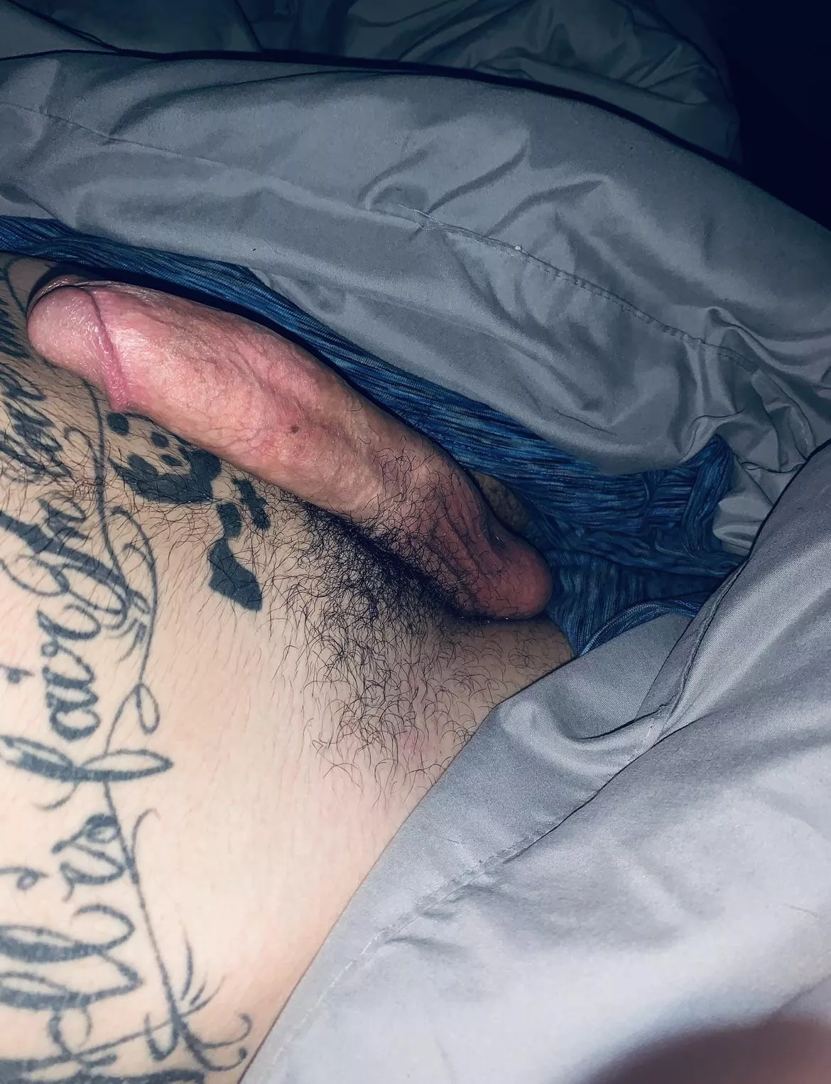 You like? posted by yoitscurly