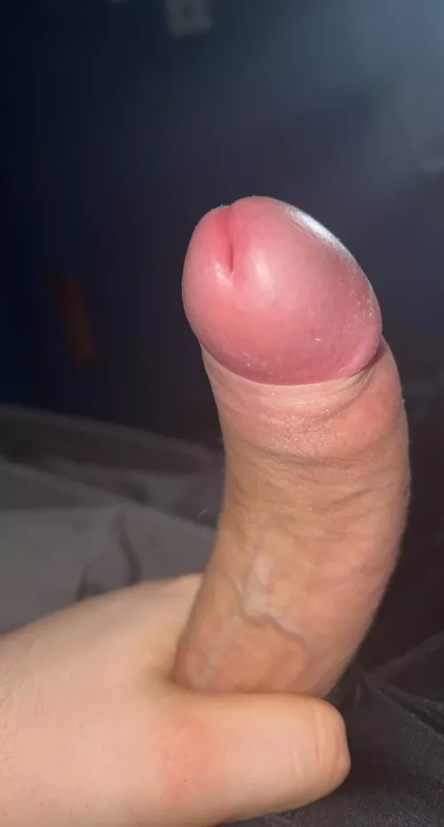 You little sissy sluts have a choice do you want it in ur ass or down ur throat first? And where do you think you deserve masters cum? by Whitemaster123