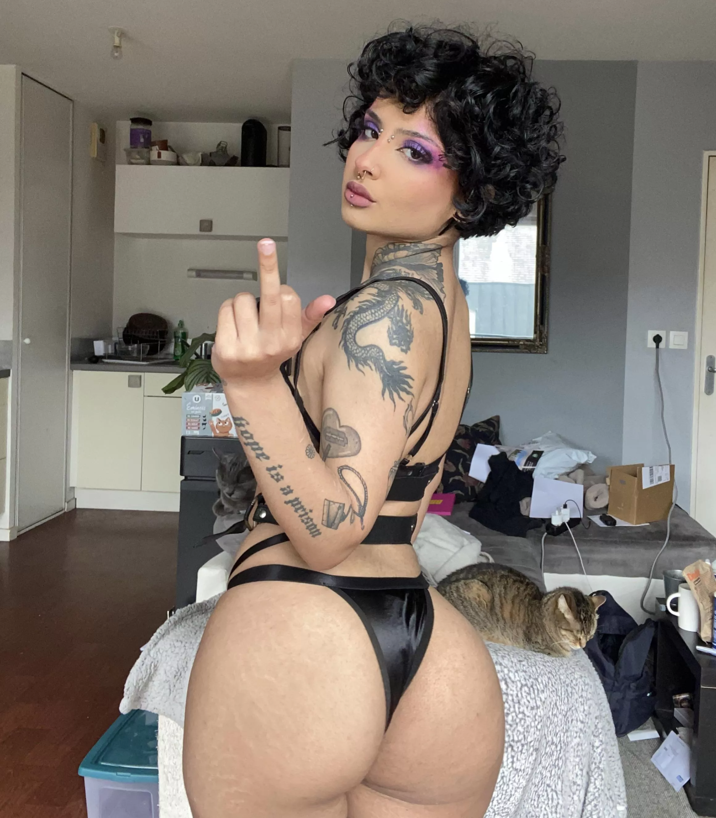 you little sluts should get on your knees for me and worship my feet [domme] posted by N2414L