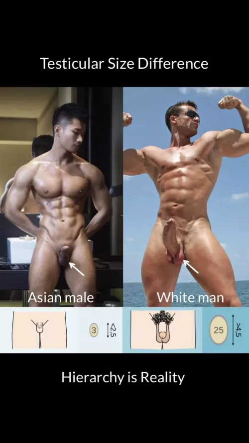 You re just inferior,no shame about it by Wrong-Put-8364