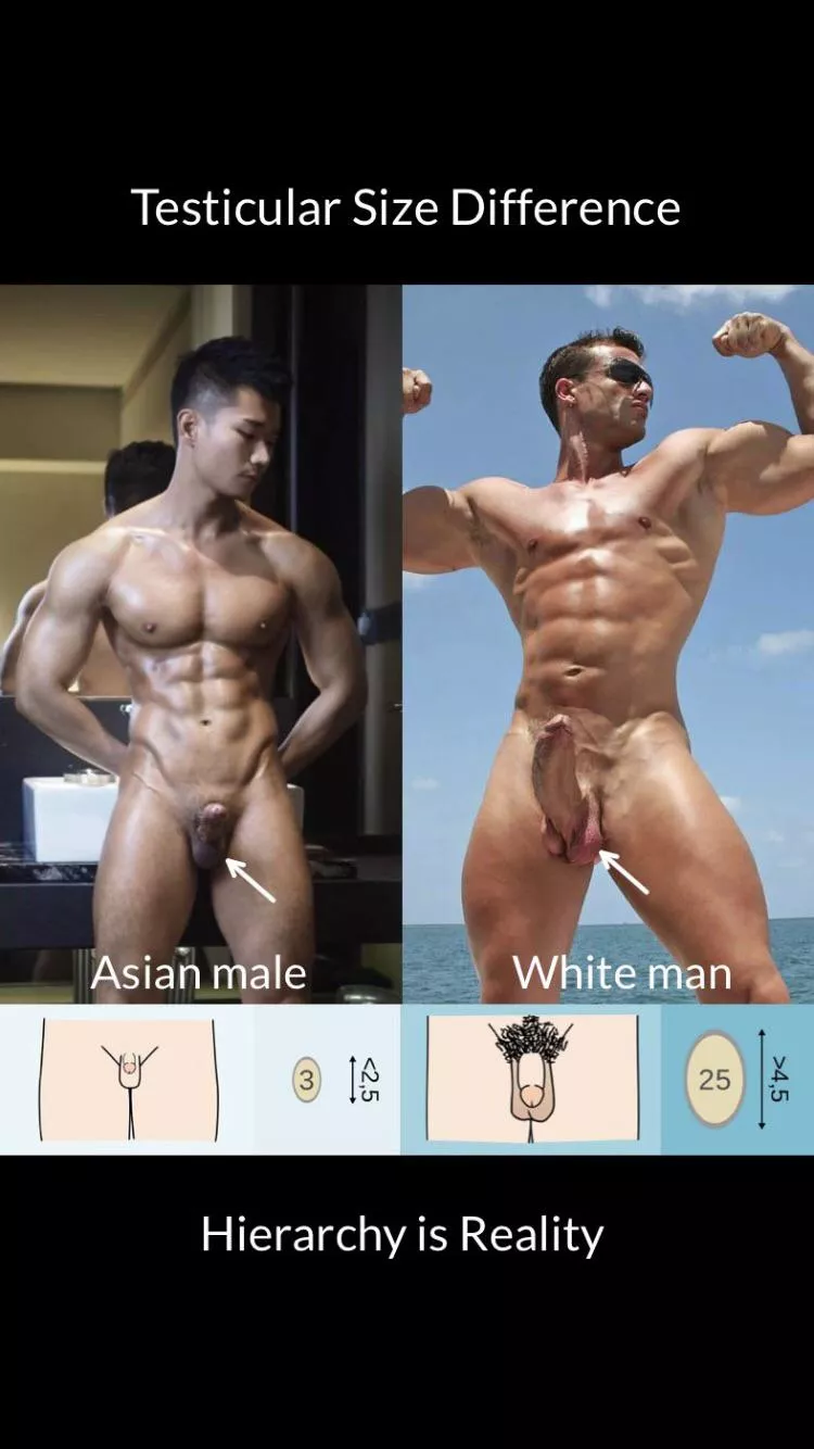 You re just inferior,no shame about it posted by Wrong-Put-8364