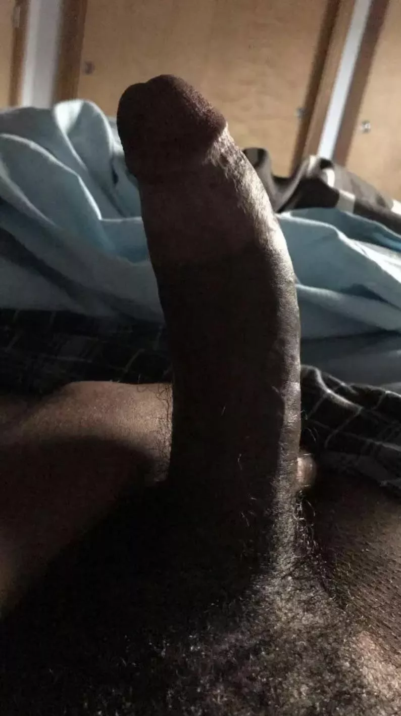 You sucking or riding it first? posted by finance_jock