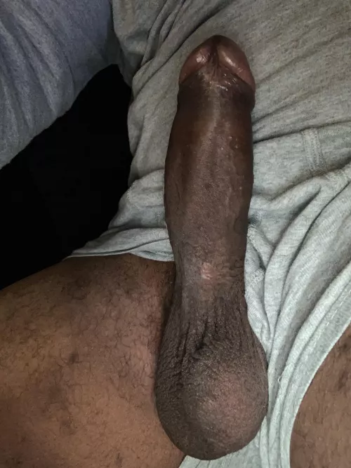 You think you could take it all? by Pedro-3000