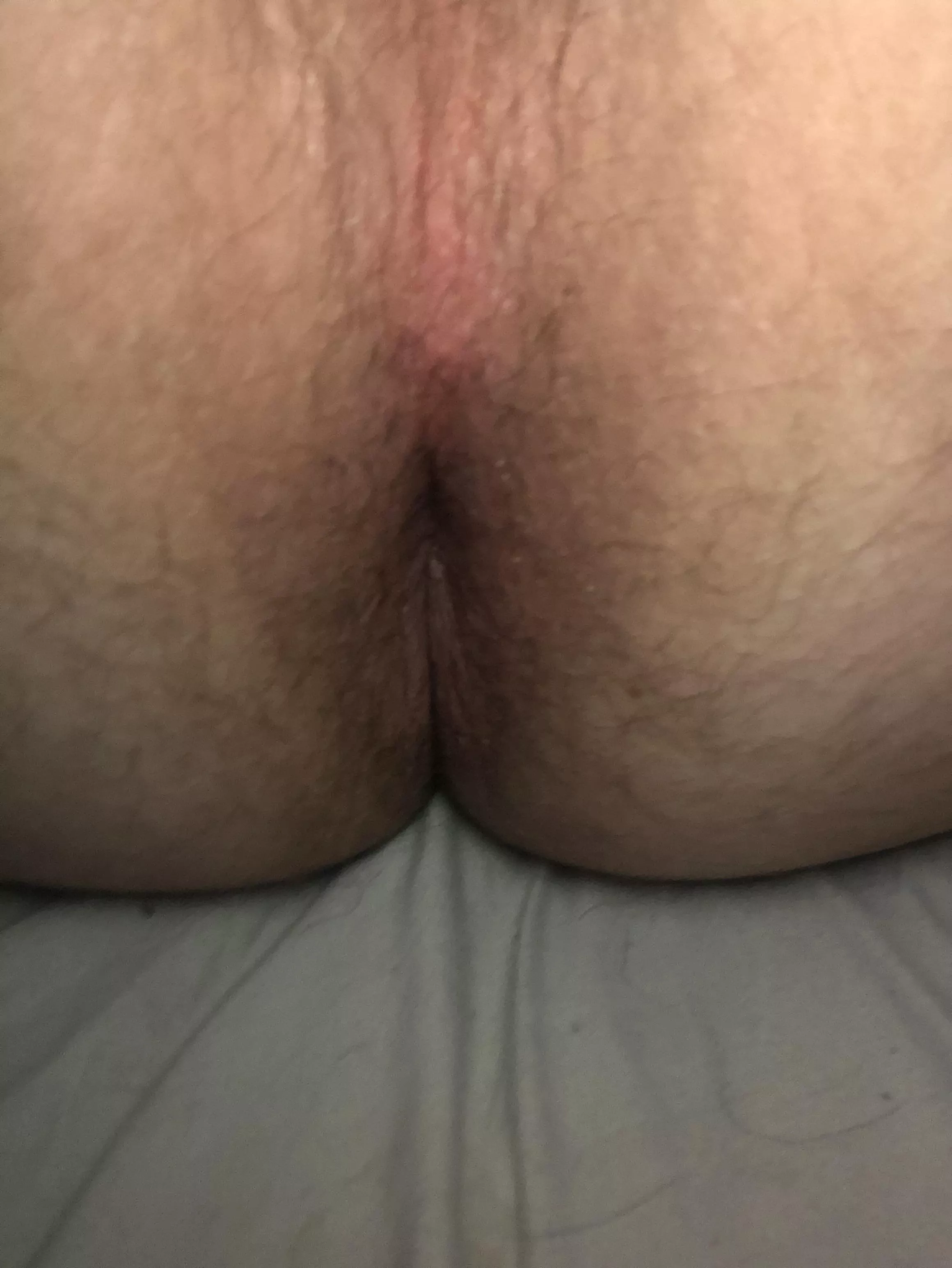 You wake up with my ass are you doing? posted by Octopus44king