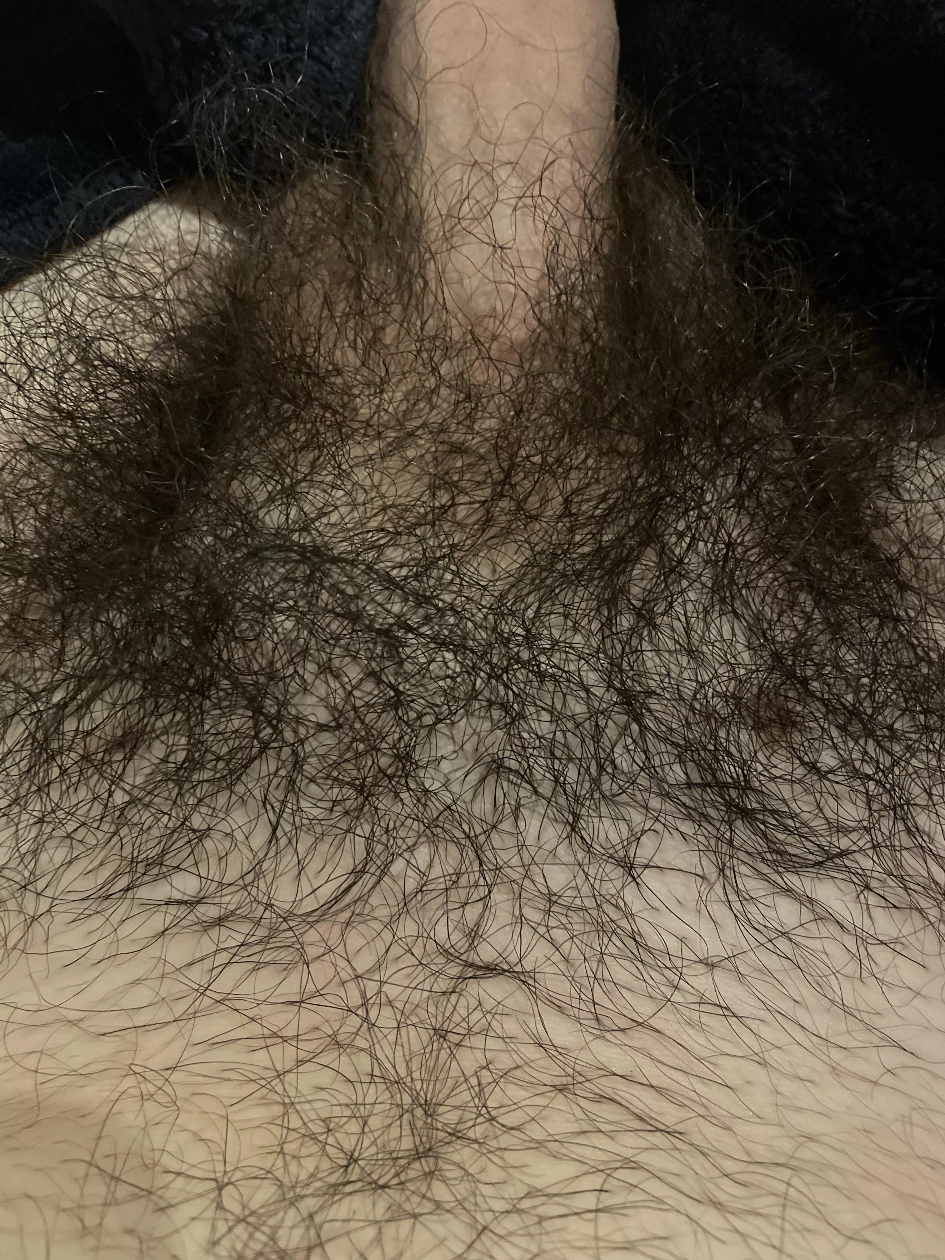 you wanna see the full thing bro? ;) posted by hairisgood