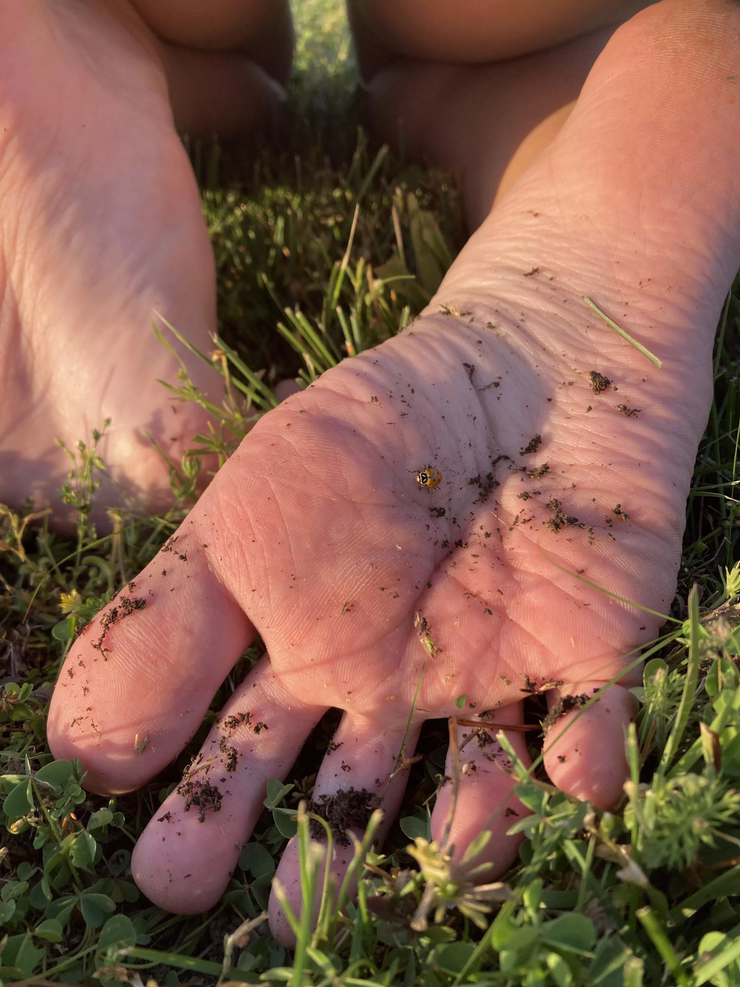 you wish you were that ladybug don’t you hehe☺️🐞 posted by gigiiiginger