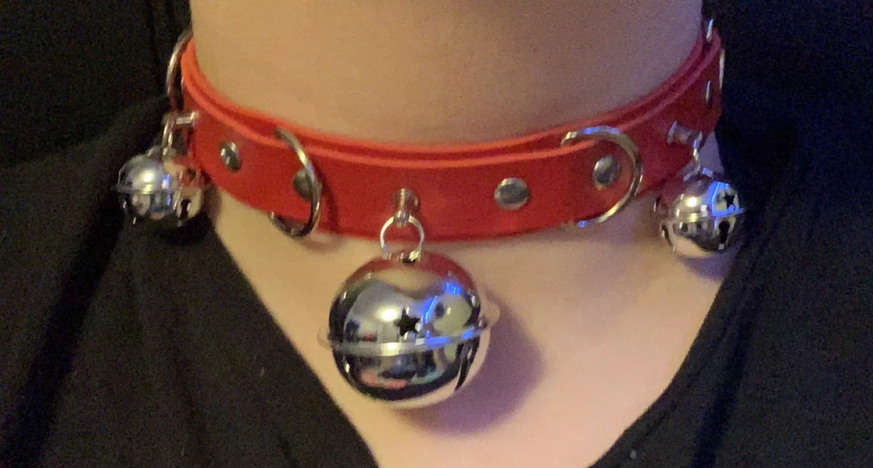 You’ll always hear me coming 🐾 posted by Ok-Replacement2283