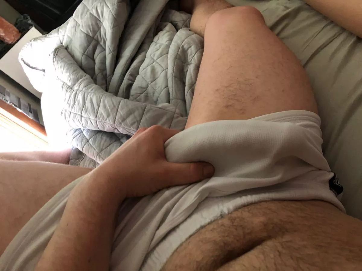 Young bear here:) posted by purdue22slt