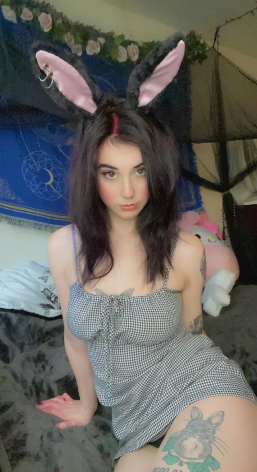 Your alt bunny posted by paradoxkittens