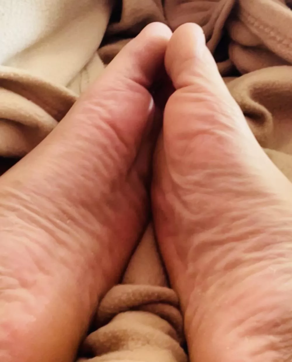 Your 🍆 belongs in between posted by Harrypotskins1