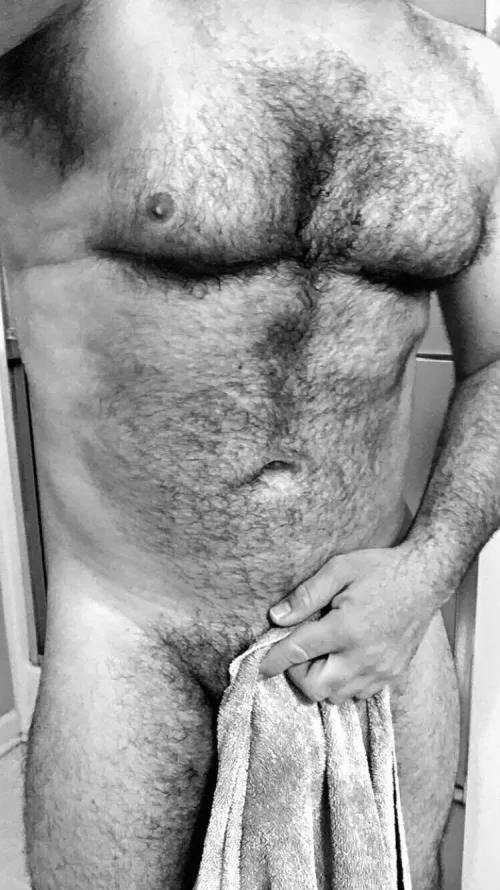 Your car hit a water buffalo and you need to borrow my towel? by rizzo_73