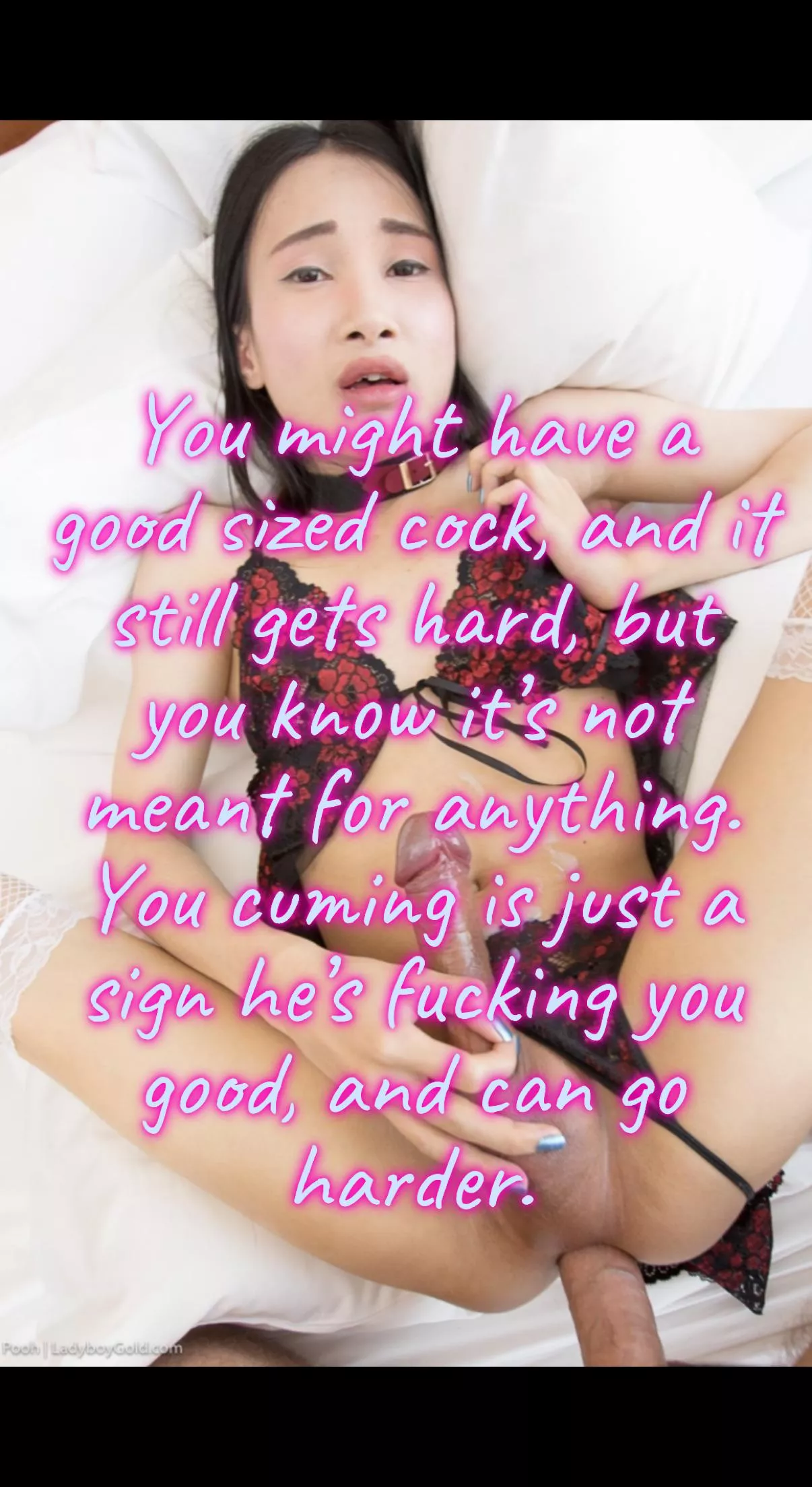 Your cock just tells him to go harder posted by Plain-Water