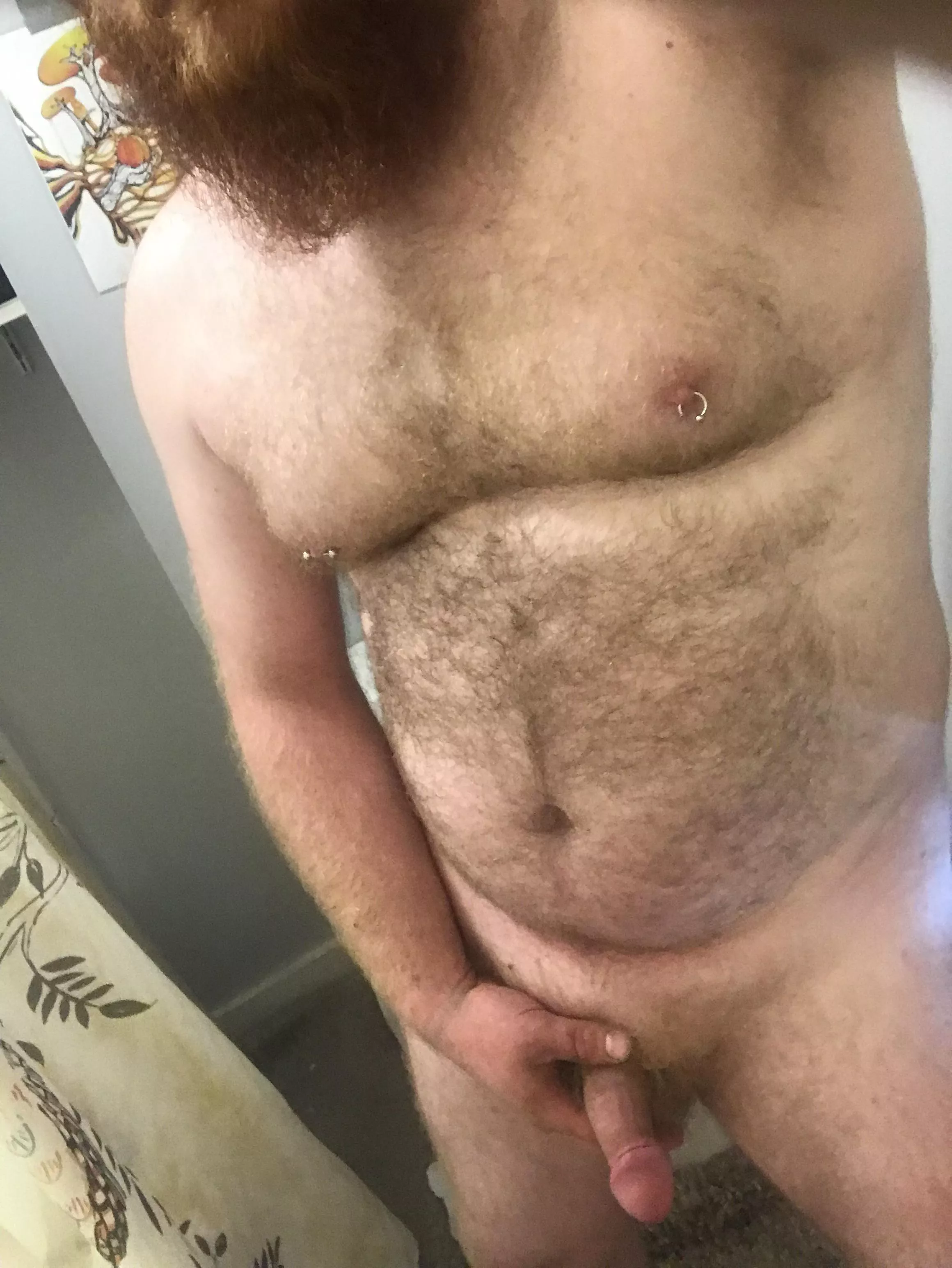 Your daily dose of ginger fur posted by Tytyhorny