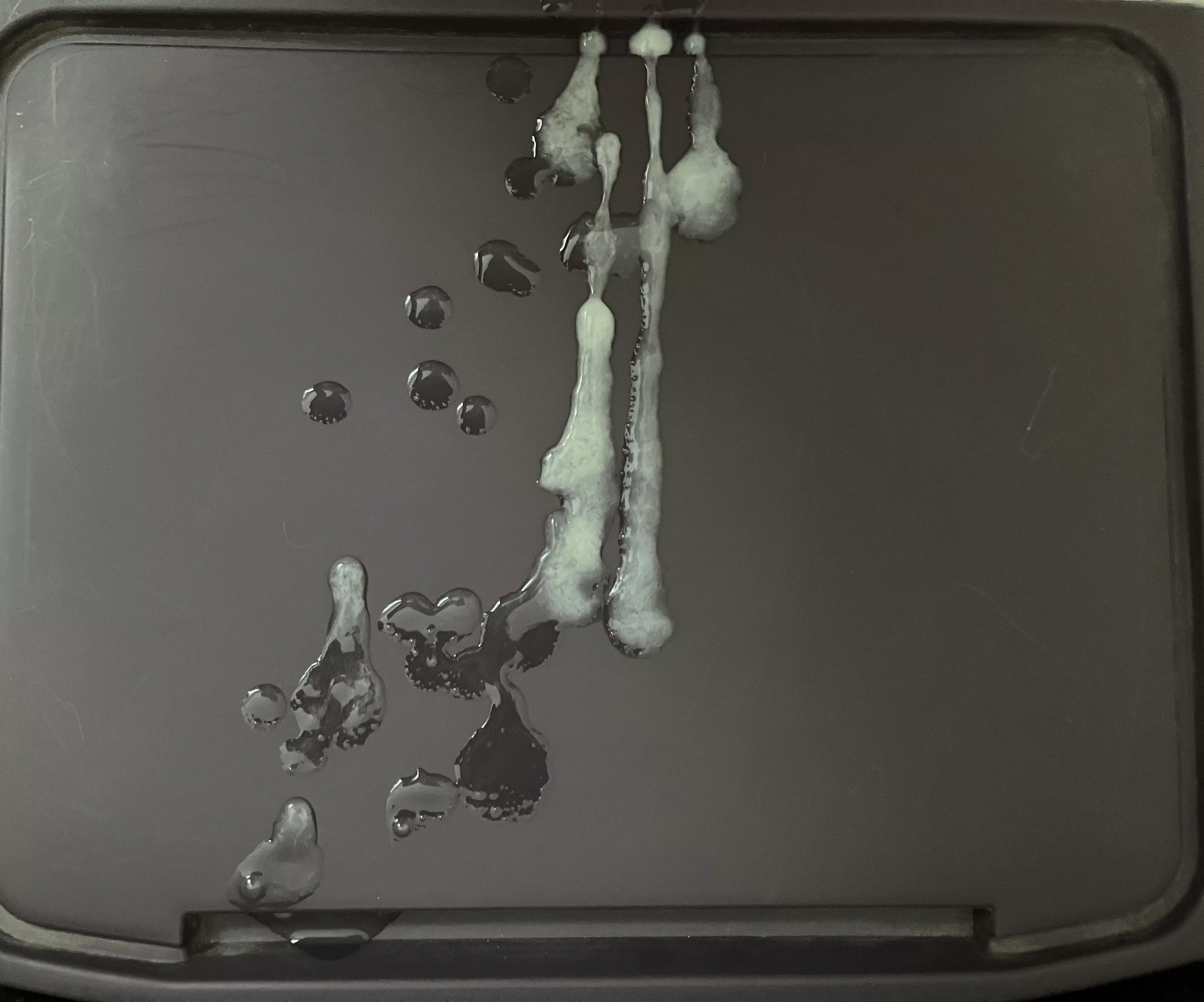 Your meal is served posted by TheCumCreator_002