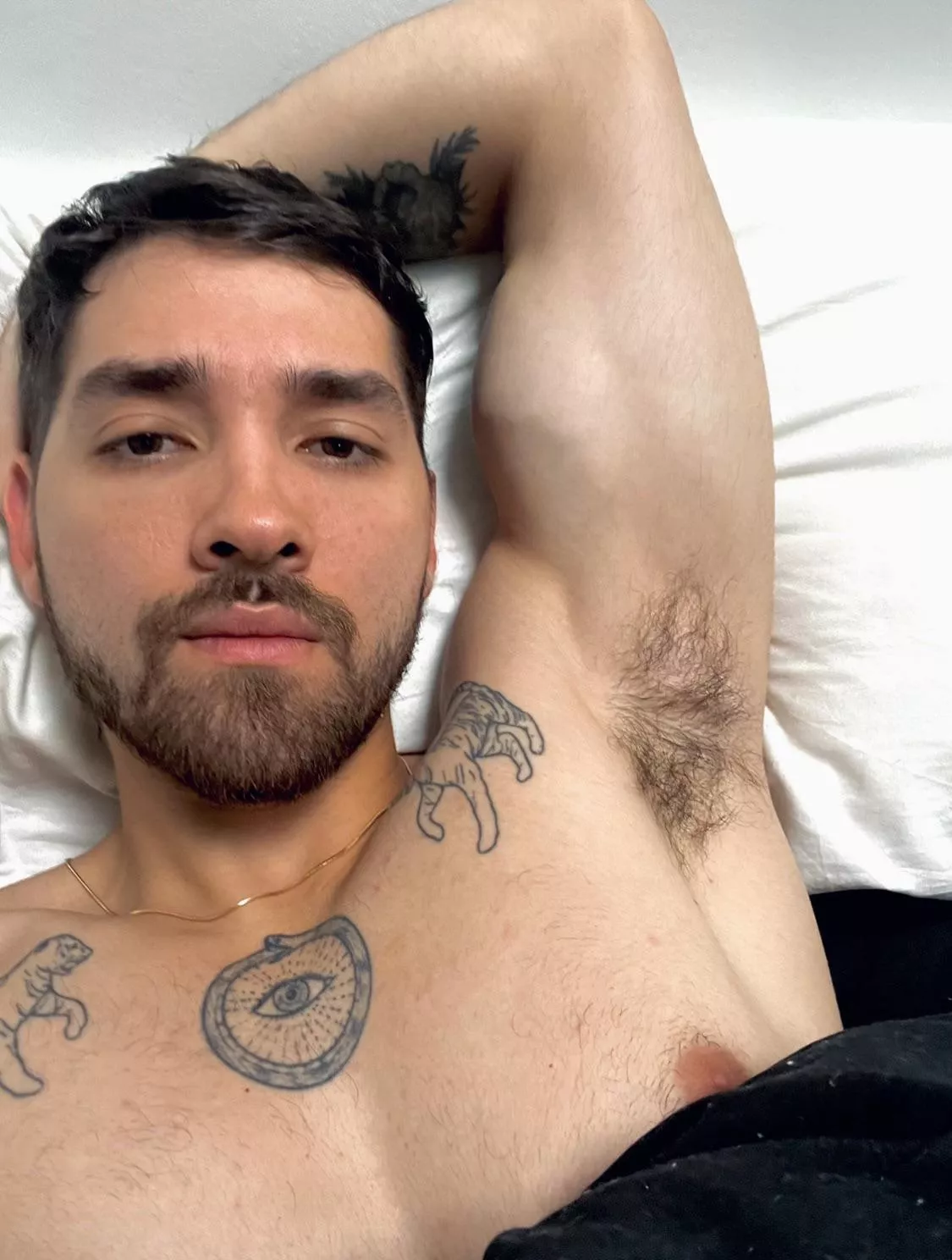 Dive in bb posted by Mission_Bad_5657