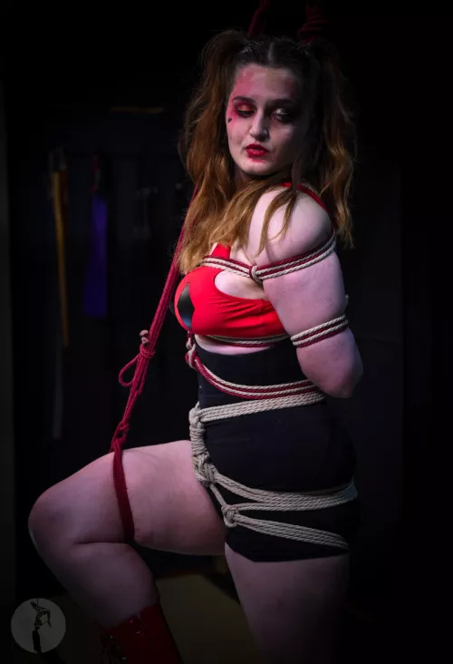 Harley Quinn by Basanos_Shibari