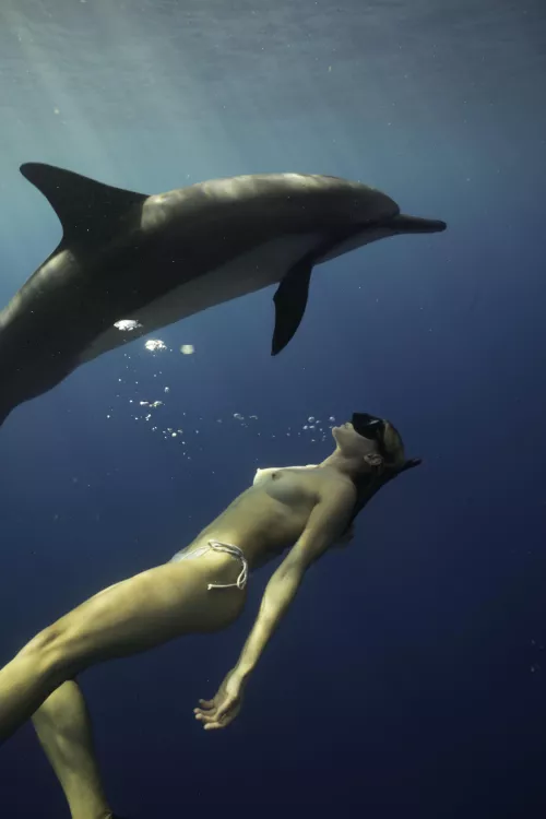 No freedoms greater than swimming topless with the dolphins… by bunnydailynews