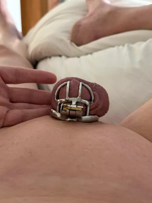 Sir decided it was time for the small metal cage. by Recent-Row5259