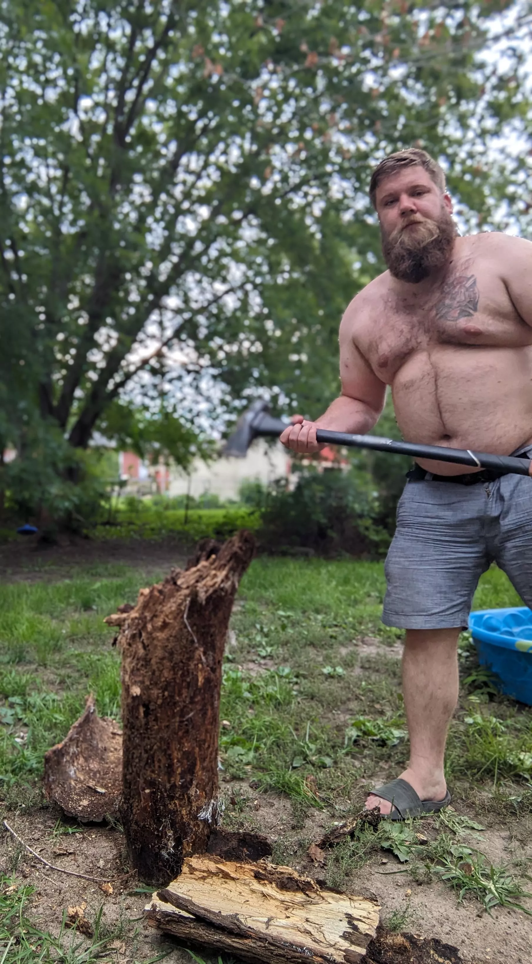 Can I tear you up? posted by smokeybear911