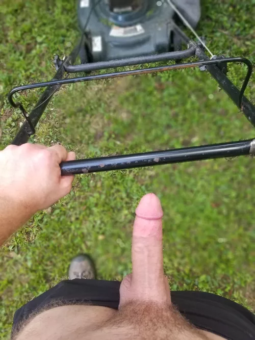 Cutting the grass by Fluffy_Fruit_1839