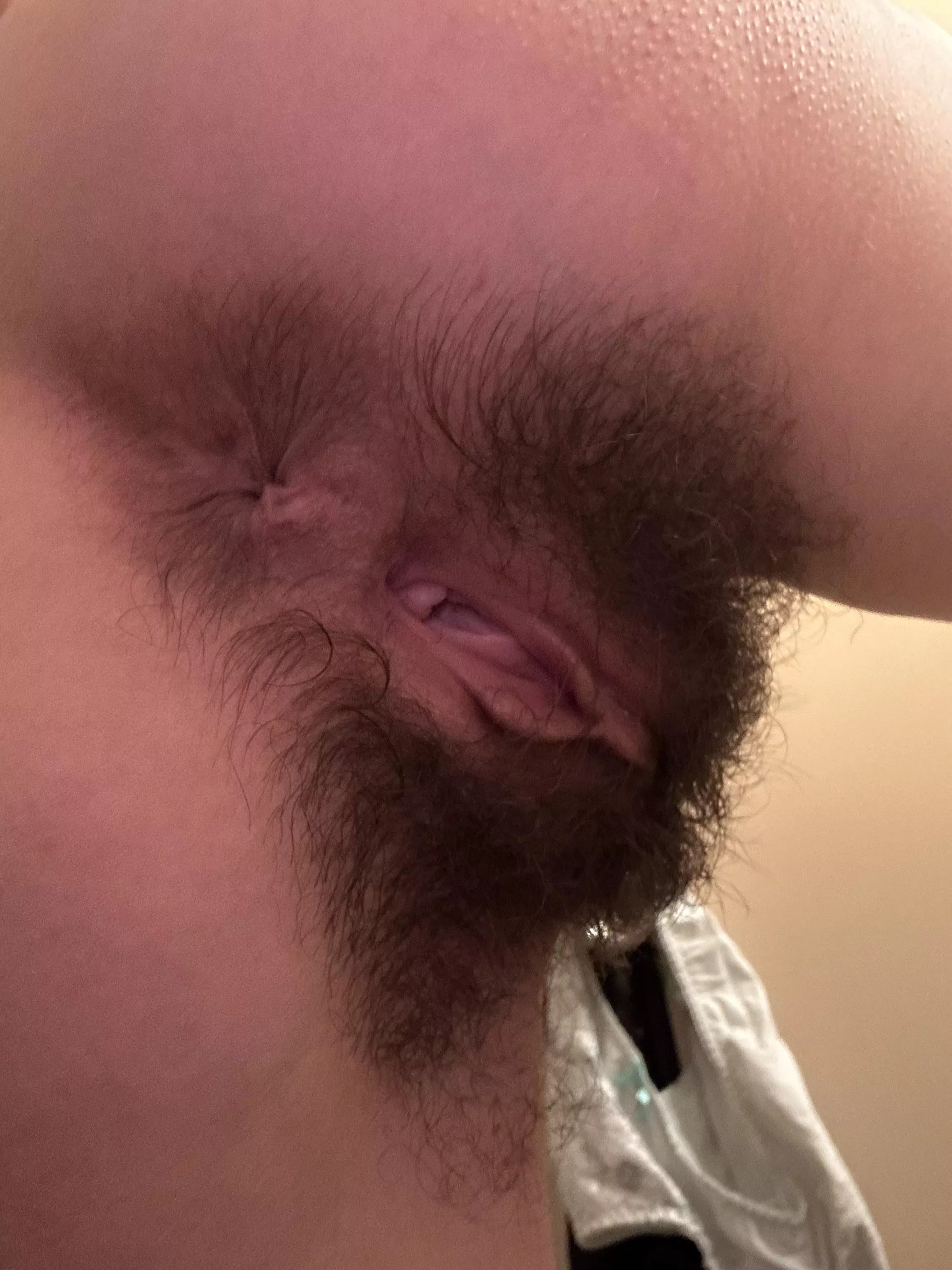 Describe this bush with a word posted by draconia777