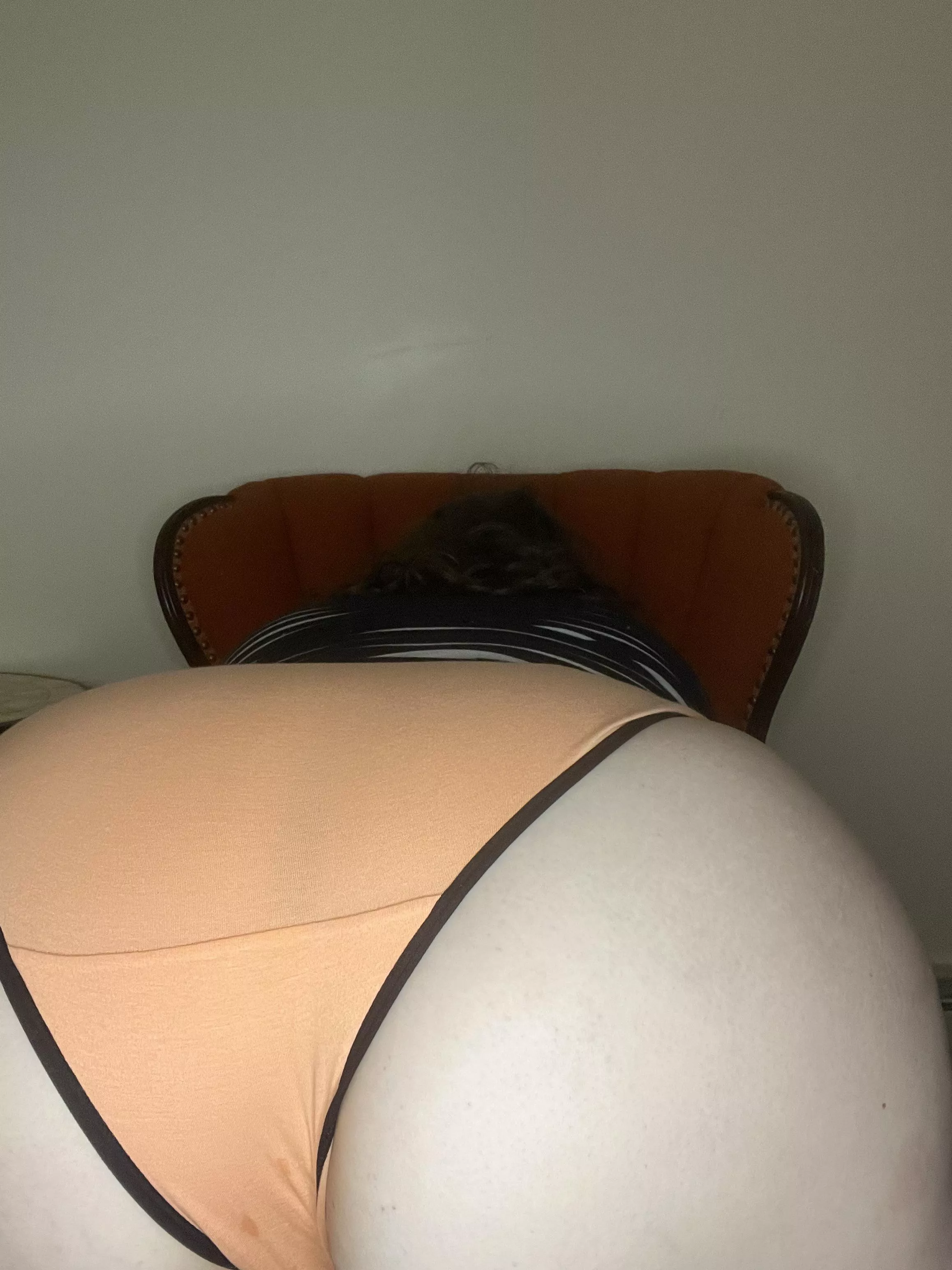 Im already a little wet posted by immadawgtoo