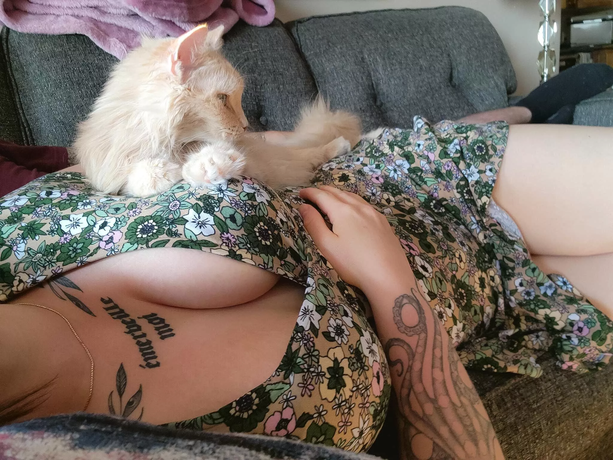 It's a cuddle puddle kind of day [F] posted by xxLilithB