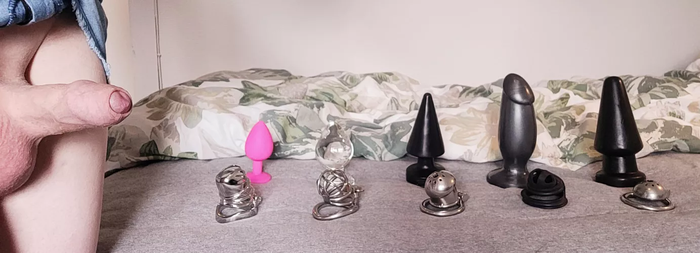 Which combo should I use today? by CagedEmmy