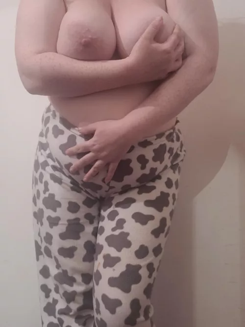 Can this lil cow get you in the moooood 🐄🐮 by PlumpSwitch