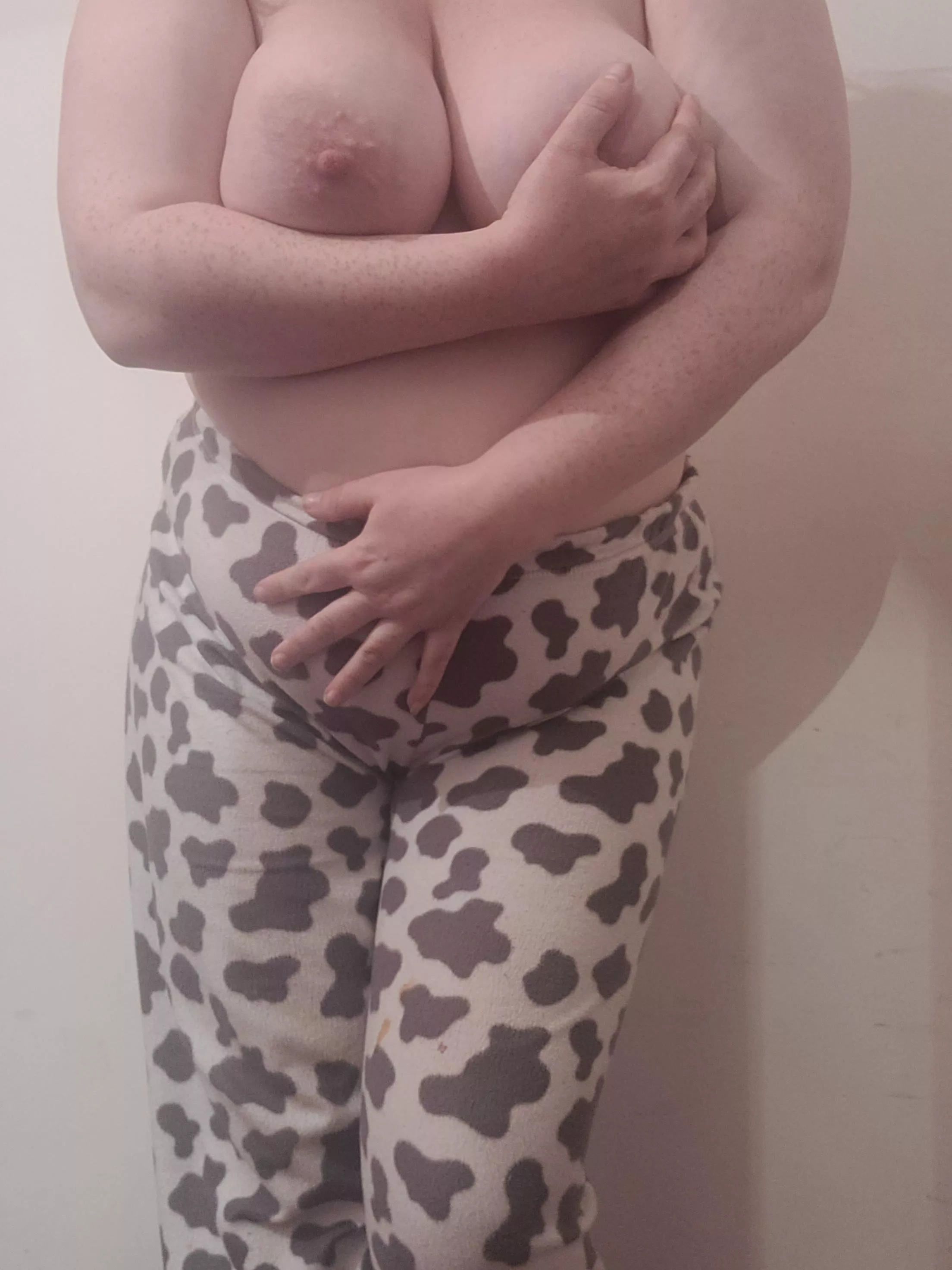 Can this lil cow get you in the moooood 🐄🐮 posted by PlumpSwitch