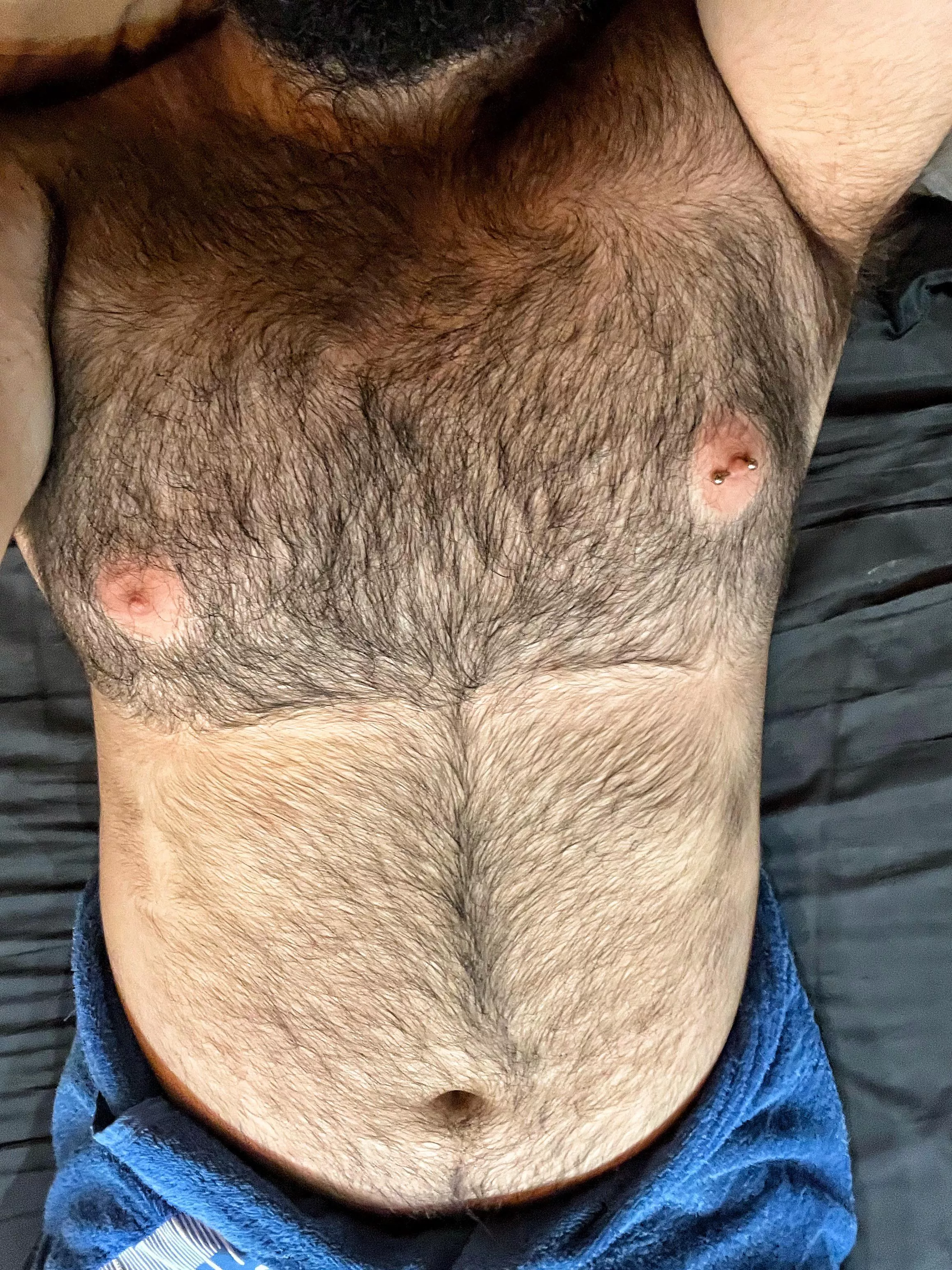 Hello bears! posted by BearoDach