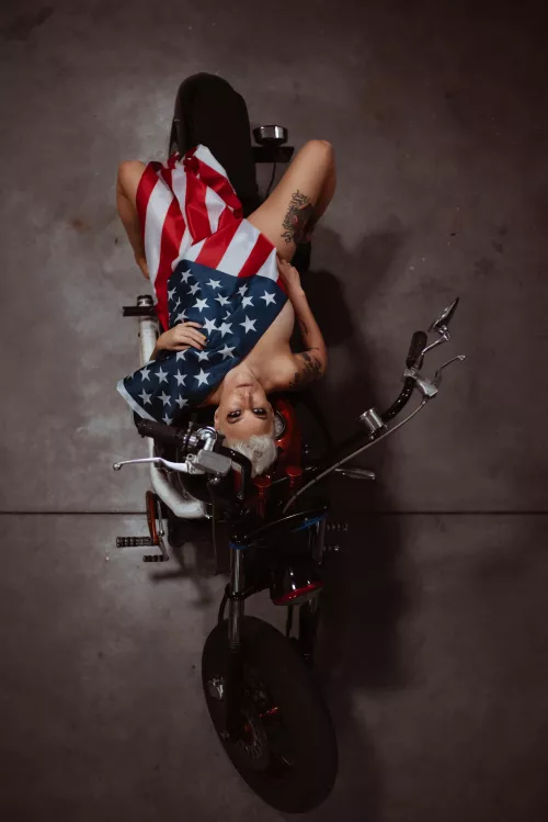 Look at those Stars and Stripes! by Spicy_Haggis