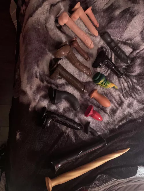 My collection you think I should add some more ? by BoredInsomniac21