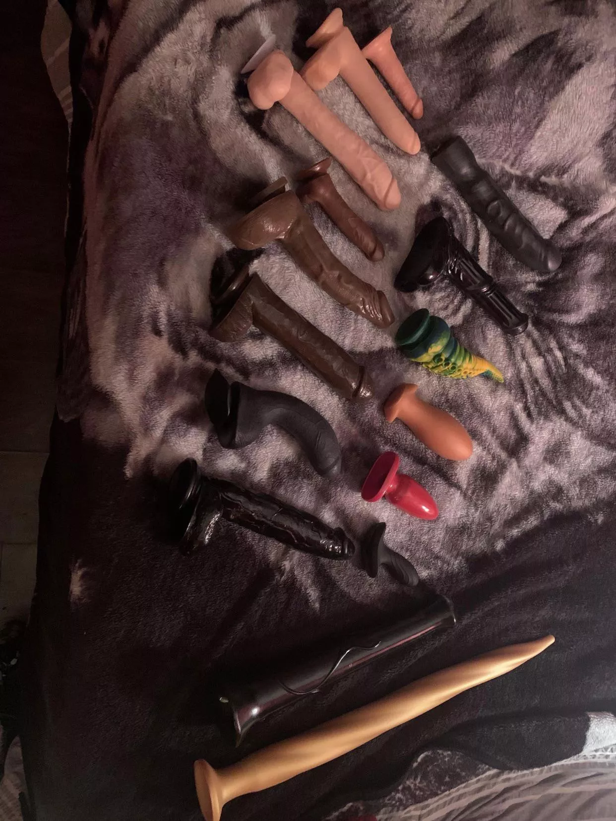 My collection you think I should add some more ? posted by BoredInsomniac21