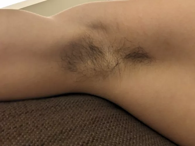 My musk makes me so horny by Responsible_Wrap_302