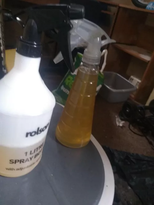 My piss dungeon by Ready_Personality_97