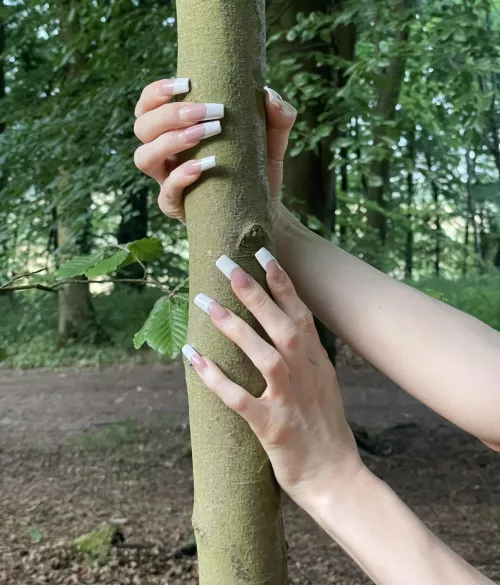 Wood you by violaheartsxo