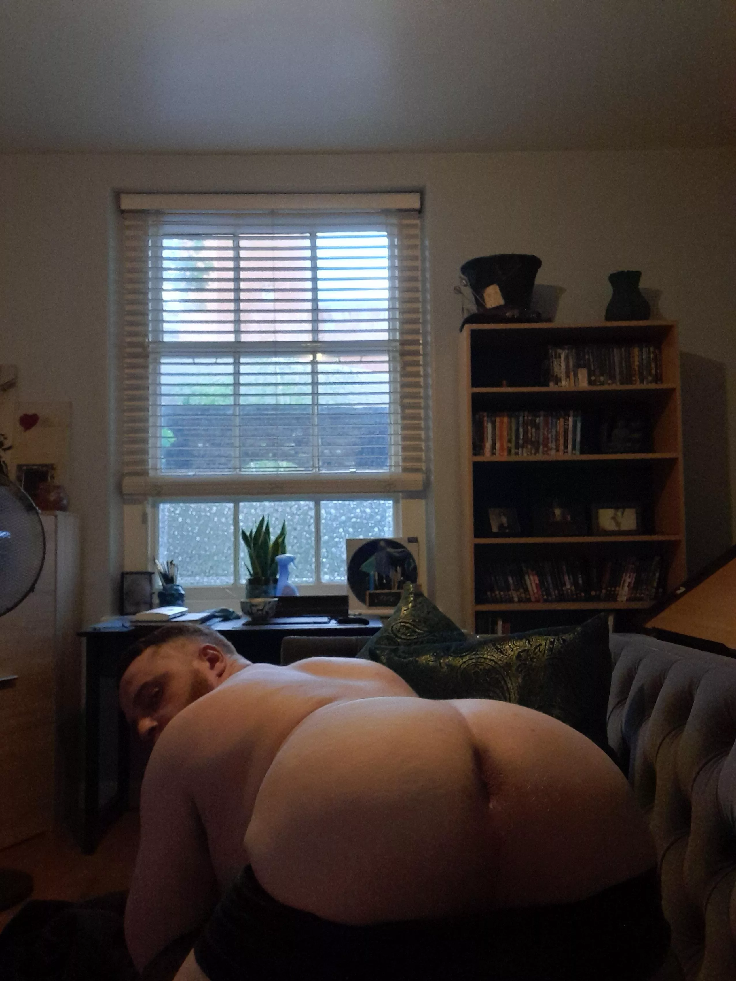 Access granted posted by bearsprout