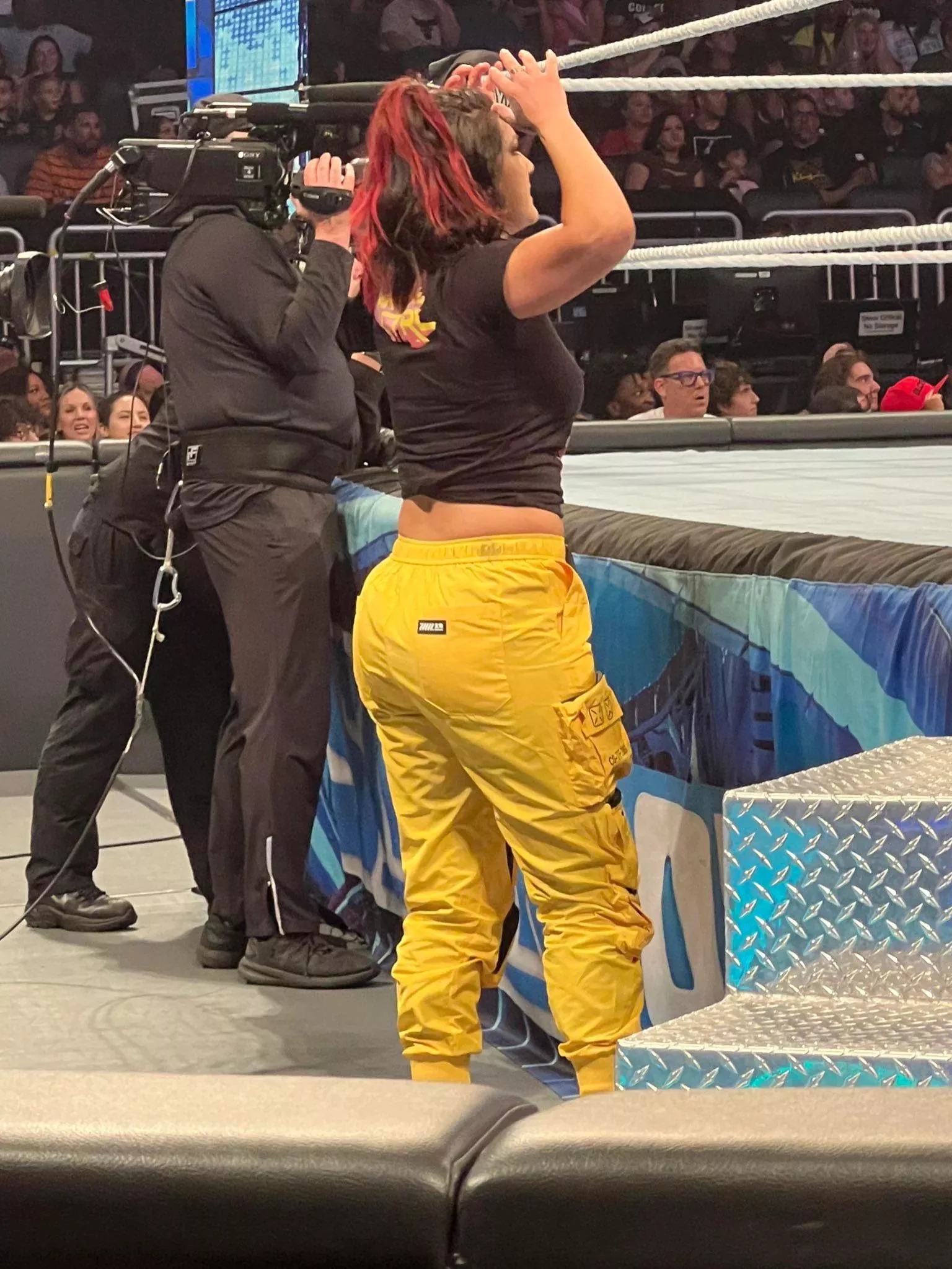 Bayley posted by SheetAcrobat