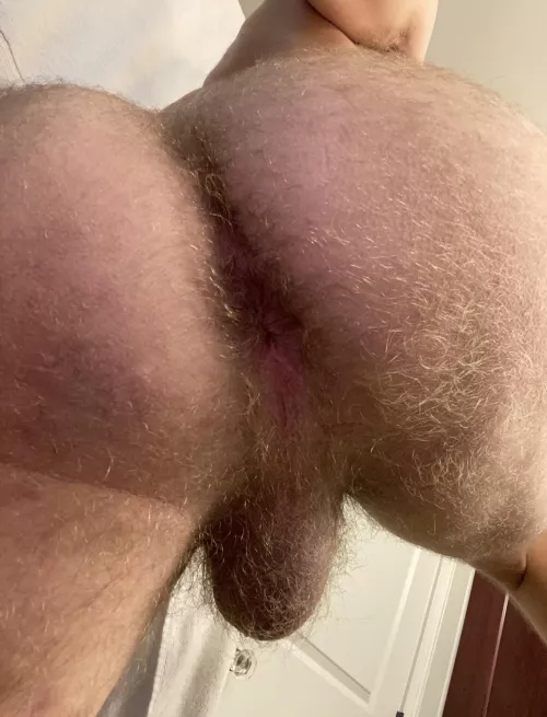 Hairy or shaved? by hiuser987651234