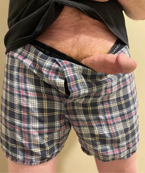 He says hello… by Relevant_Junket6404