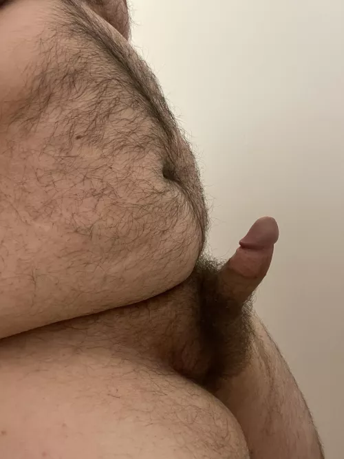 Home alone this week, anyone want to lend a hand for this little guy? DMs are open by doodle-pal1