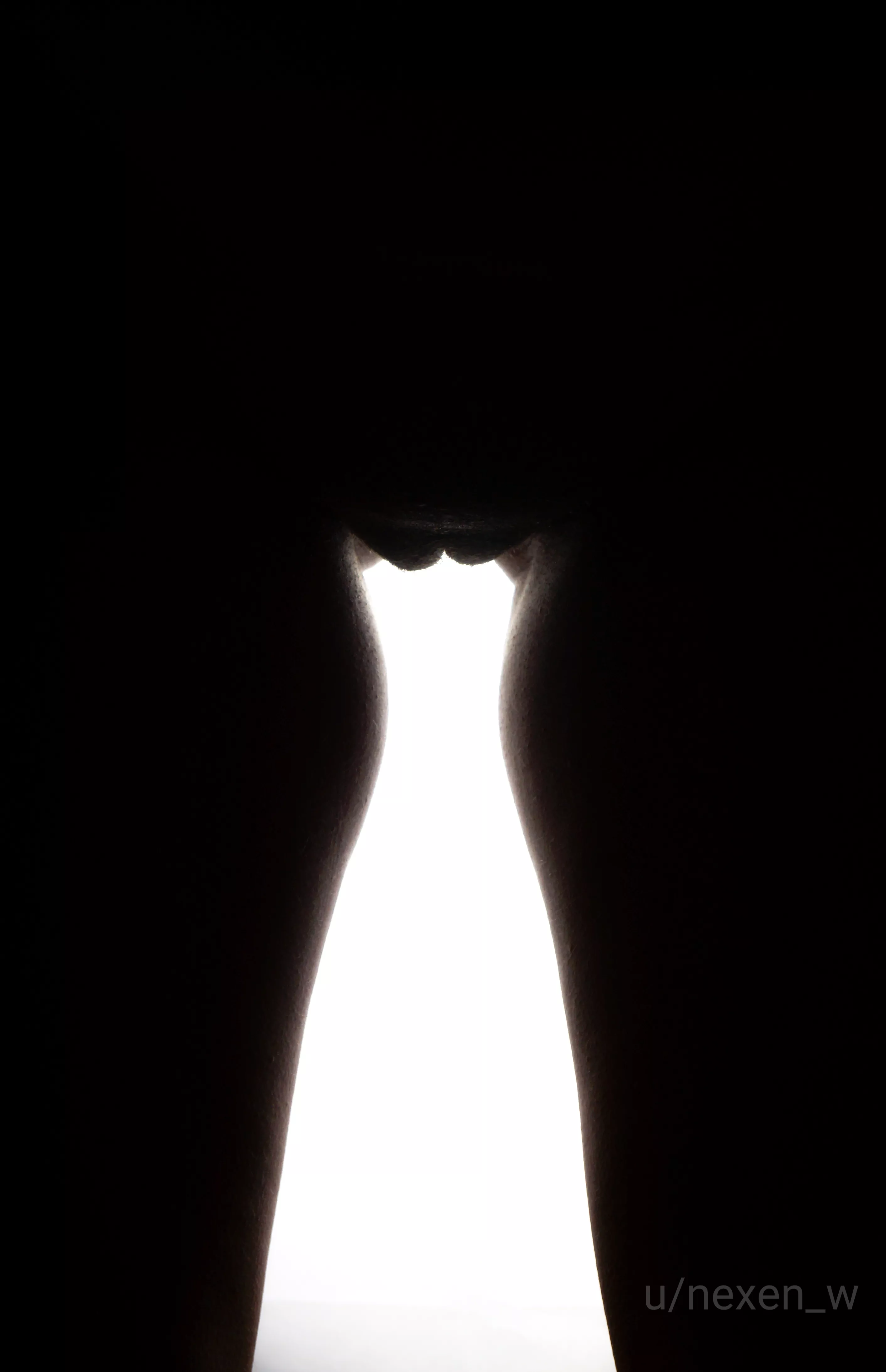 Light pussy... posted by nexen_w