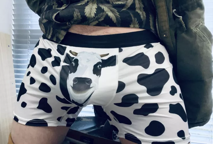 Monday Moo’d 😉 by MrBreastObsessed